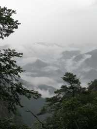 我看到的三清山