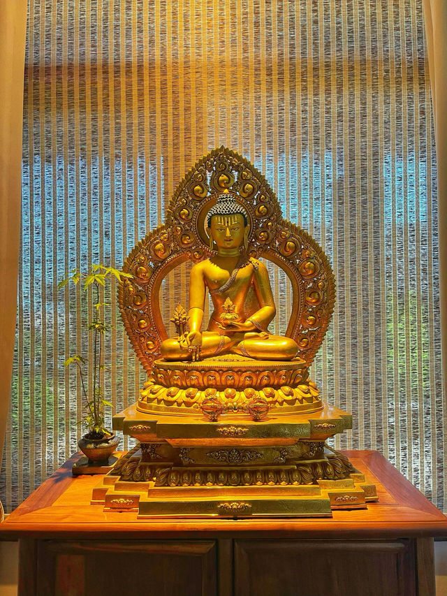 探秘晉江唐風禪寺不設功德箱的千年古剎太絕了! 探秘晉江唐風禪寺不設功德箱的千年古剎太絕了!