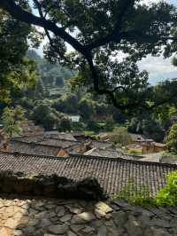 有風的地方同款小院