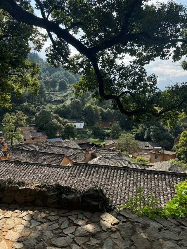 有風的地方同款小院