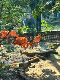 濟南動物園新晉頂流！2個月的小象寶寶必看，治癒一切不開心！