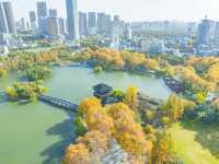 合肥逍遙津公園賞秋攻略不可錯過的寶藏地方