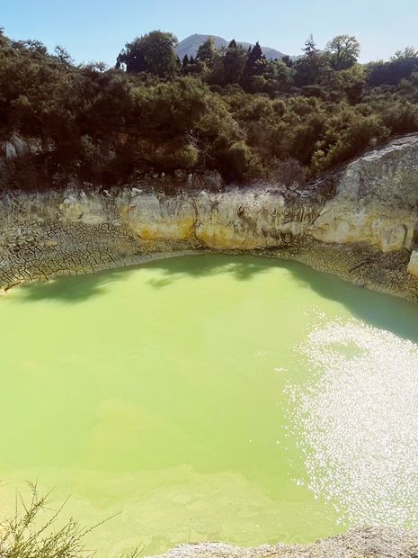 🌿 Waitopu Valley: Where Avocado Groves Meet Geothermal Magic! ♨️🥑