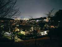 上海-日本四國13日之2-9-松山城山公園(萬翠莊)等