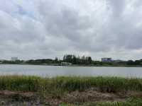 東沙湖生態公園