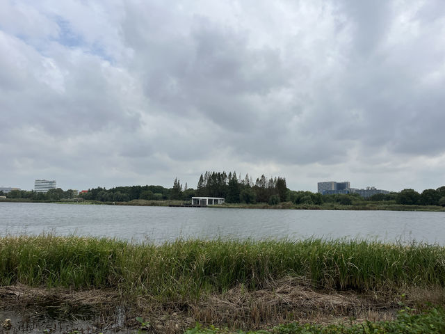 東沙湖生態公園