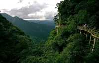 革命聖地—井岡山