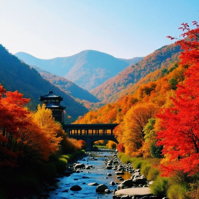 闖入油畫世界！天台山千年銀杏林絕美出片指南