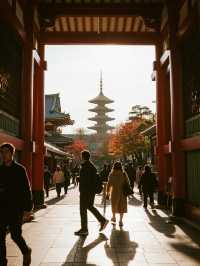 關西五日繪卷|收集古都的千年物語