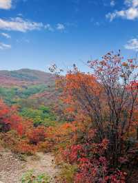 河南隱藏的秋日仙境:禹州鳩山紅葉谷