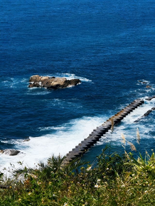 花東縱谷自駕攻略