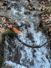 秋季本溪十月賞楓葉（附攻略）人比楓葉多