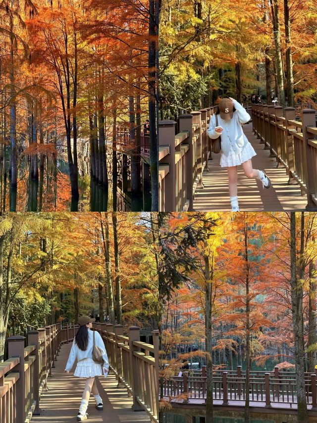 已經開始期待深秋的紹興了！「附地址」