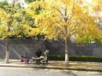 孔府外牆半壁街，初冬打卡聖地