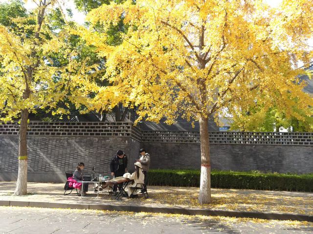 孔府外牆半壁街，初冬打卡聖地