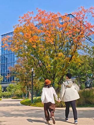 Weekend, a one-day visit to Alibaba headquarters for visitors