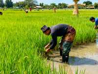 Sepang & Kuala Selangor 2-Day Escape: Nature, Culture & Coastal Charm šš»