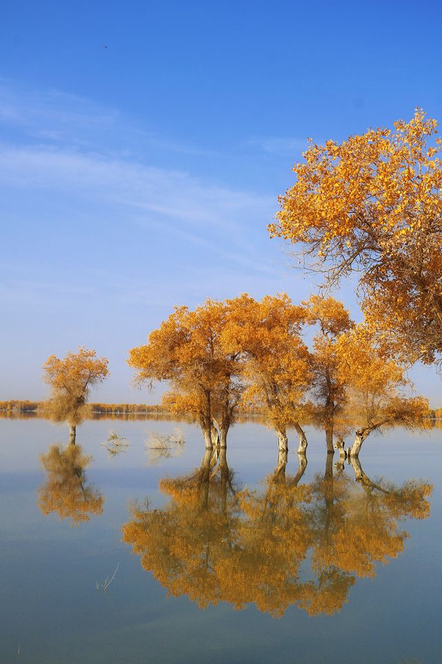 2025南疆庫車_喀什十天胡楊遊 2025南疆庫車_喀什十天胡楊遊