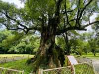 瑞金尋根之旅:在紅都,觸摸那段滾燙嘅青春