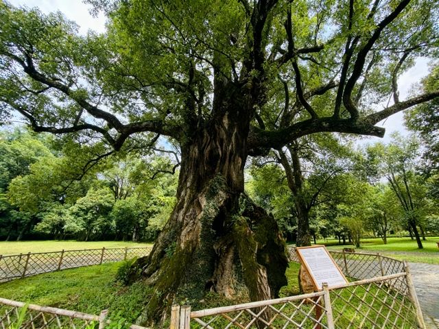 瑞金尋根之旅:在紅都,觸摸那段滾燙嘅青春 瑞金尋根之旅:在紅都,觸摸那段滾燙嘅青春