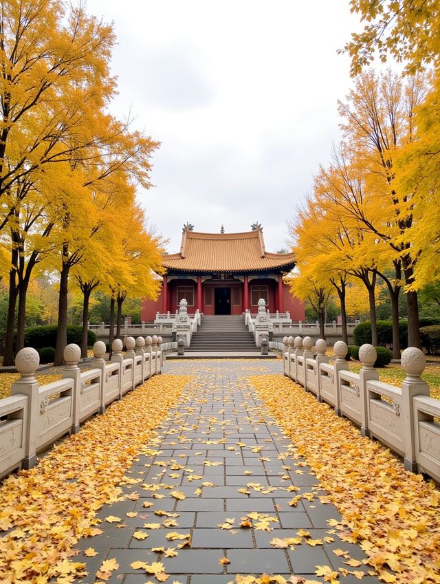 挖到寶喇！甘肅呢個小眾森林公園，影相靚過收費景點！
