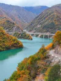 成都向北2h!闖入免費彩林秘境,邂逅川版喀納斯