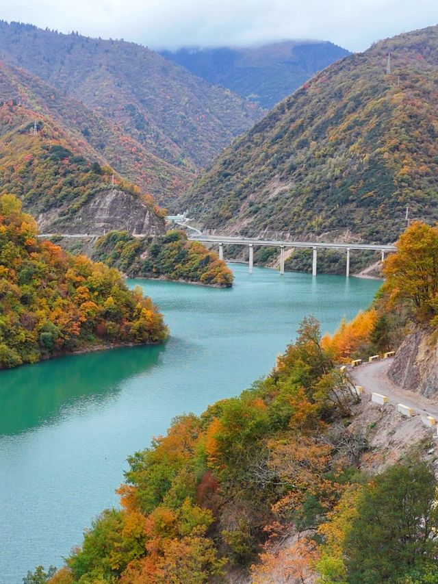 成都向北2h!闖入免費彩林秘境,邂逅川版喀納斯 成都向北2h!闖入免費彩林秘境,邂逅川版喀納斯