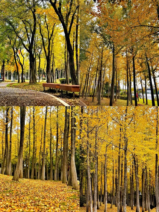 被忽略的小眾寶藏城市,六安秋色秘境 被忽略的小眾寶藏城市,六安秋色秘境