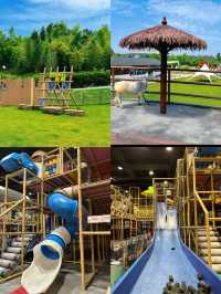 森林裡的樹屋，PS森泊打卡成功！