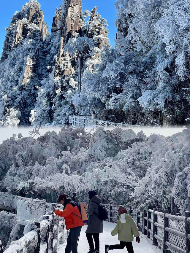 廣東出發1.5h直達冰雪王國莽山霧淞+懸崖溫泉攻略