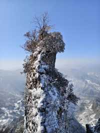 冬日的漢中龍頭山,一日遊攻略