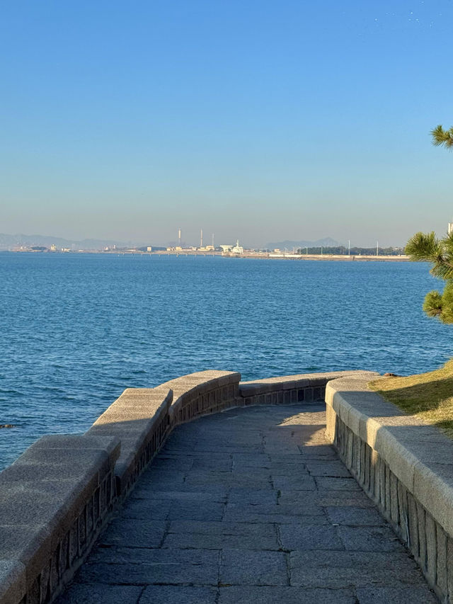 青島冬日海景封神!空無一人美到窒息 青島冬日海景封神!空無一人美到窒息