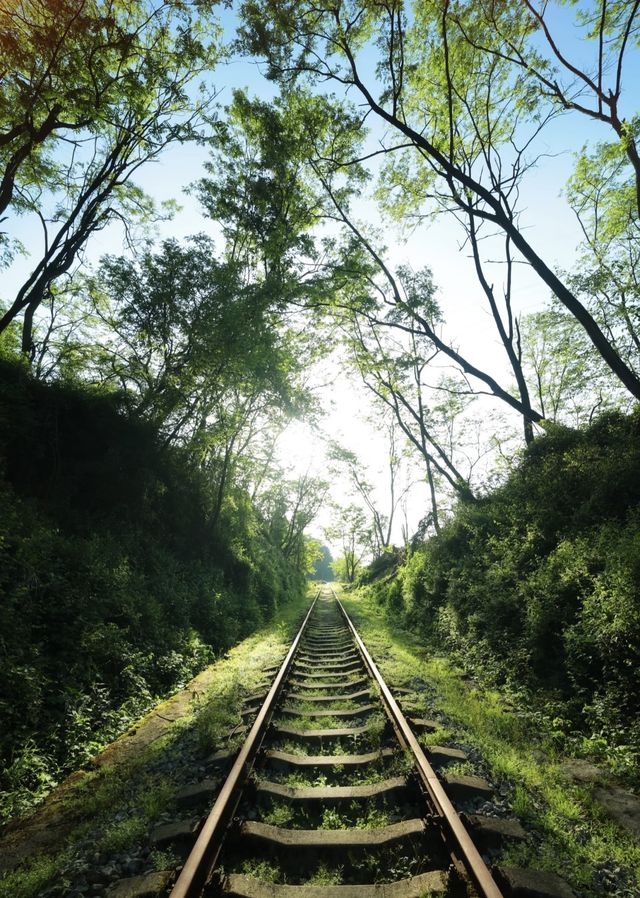 貴陽小眾拍照聖地！廢棄軌道隨手拍出大片感