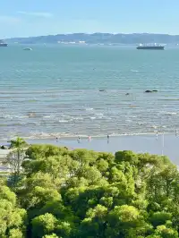 廈門11月15日現況，誰懂今天的天氣含金量！！