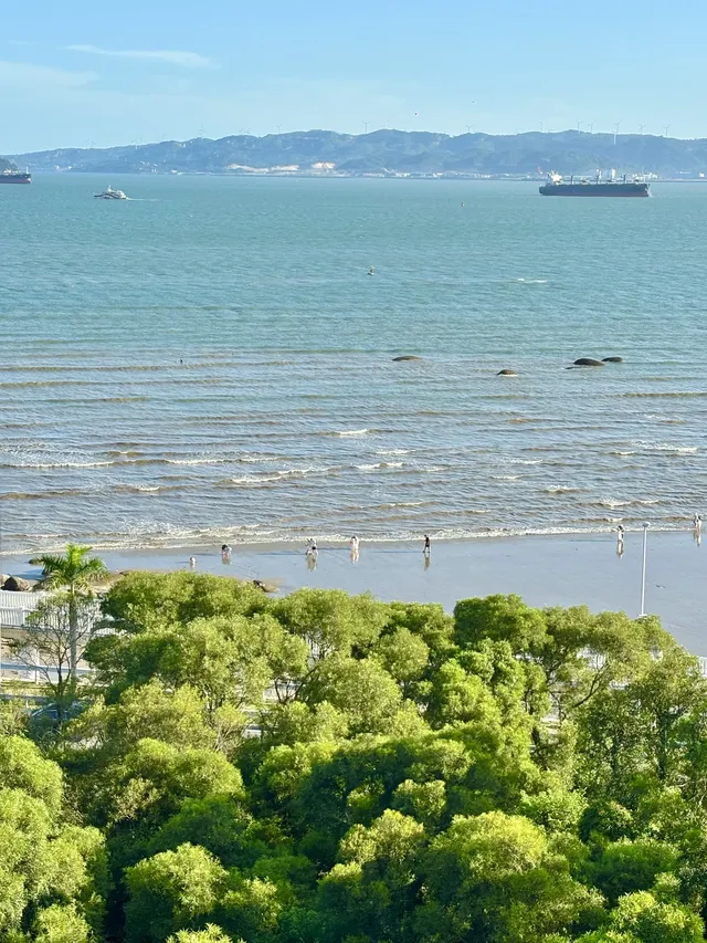 廈門11月15日現況，誰懂今天的天氣含金量！！