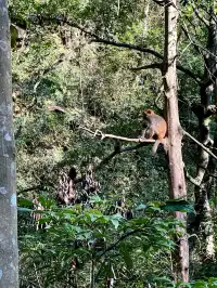 張家界徒步走斷腿系列11.13