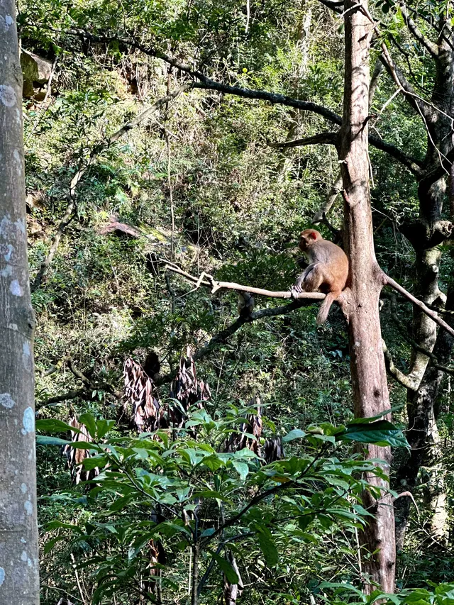 張家界徒步走斷腿系列11.13 張家界徒步走斷腿系列11.13