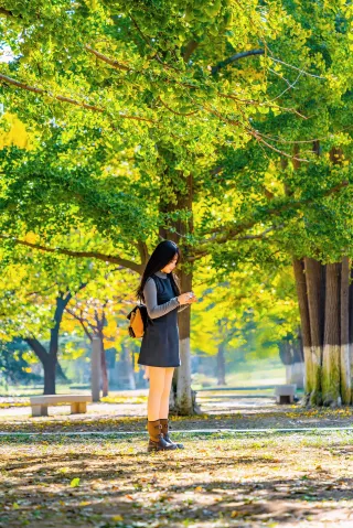 Can I see the autumn ginkgo photos you took!!