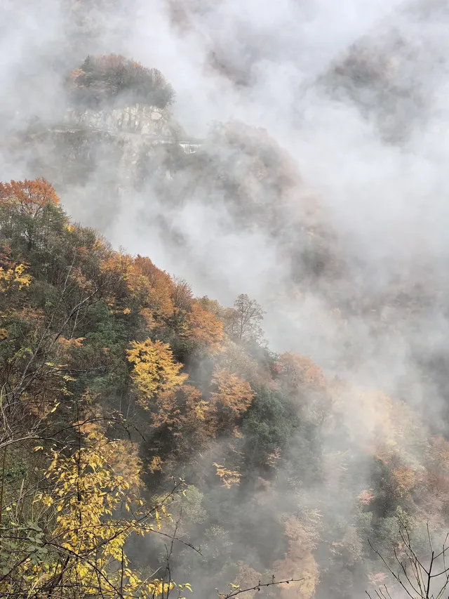 2025年11月2日到11月6日的光霧山與西安之旅