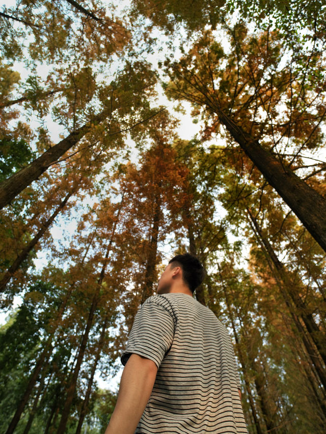 成都市區免費公園 | 升仙湖Citywalk