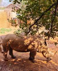 動物園隱藏玩法大賞