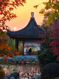 坐著11號線去看秋(上海周邊遊)