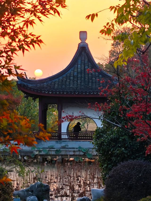 坐著11號線去看秋(上海周邊遊) 坐著11號線去看秋(上海周邊遊)