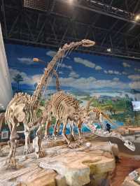 恐龍博物館會善待每個喜歡恐龍的寶貝
