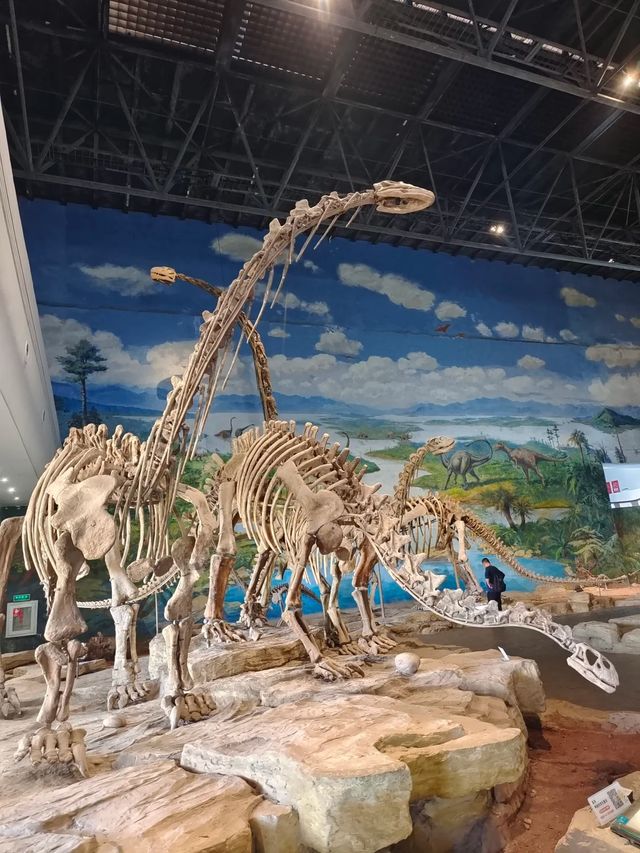恐龍博物館會善待每個喜歡恐龍的寶貝