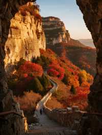 濰坊石門坊親子賞楓帶娃解鎖漫山紅葉