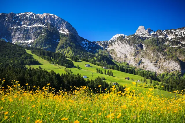 終於有人把歐洲連遊講清楚了保姆級攻略