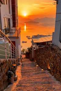 人回來了，心還在霞浦