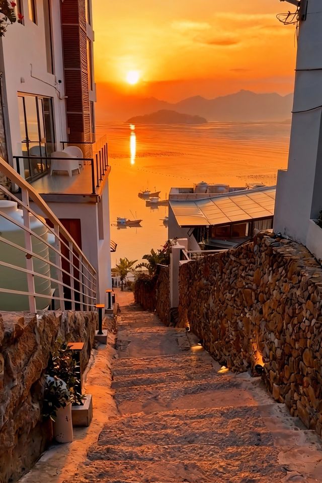 人回來了，心還在霞浦