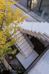 西安旅行真浪漫!住別墅看紅楓銀杏,詩意與煙火揉進旅程